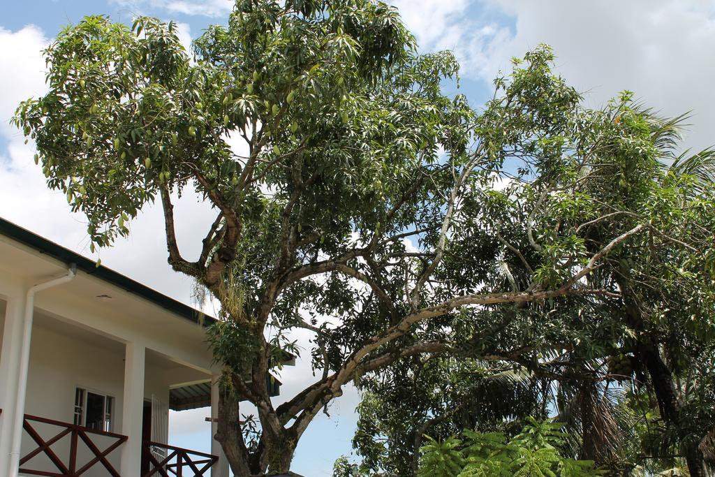 Asteria Studios Paramaribo Bagian luar foto